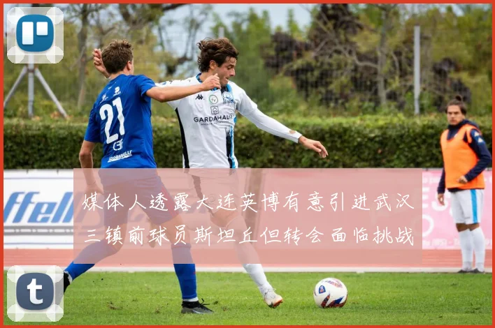 媒体人透露大连英博有意引进武汉三镇前球员斯坦丘但转会面临挑战