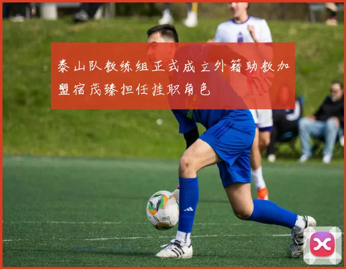 泰山队教练组正式成立外籍助教加盟宿茂臻担任挂职角色