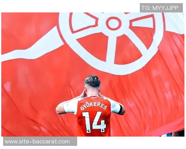 莫斯克拉谈与约克雷斯对位训练提升自我认为风格非常适合英超